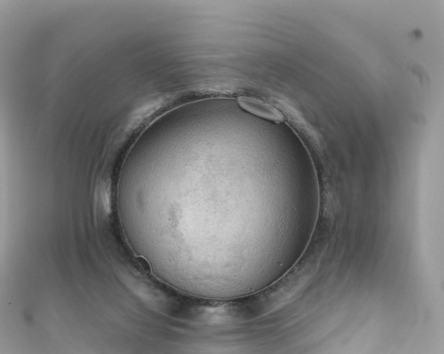 X0000111860068200907301140