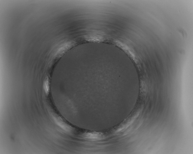 X0000111860069200907301140