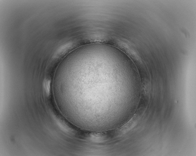 X0000111860070200907301140