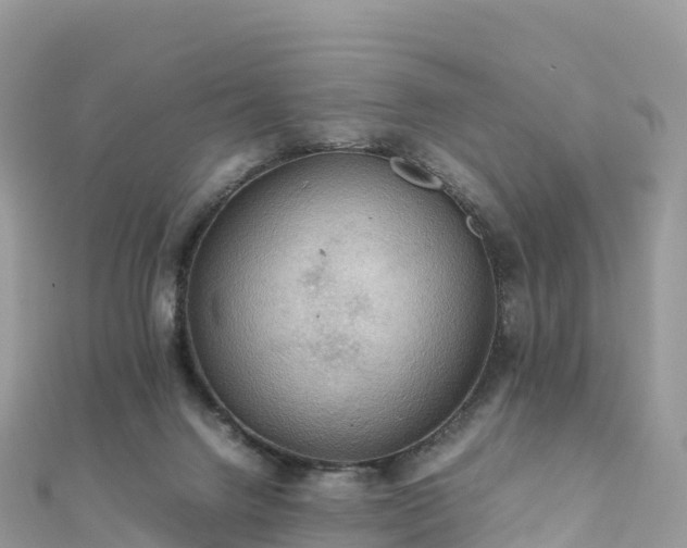 X0000111860072200907301140