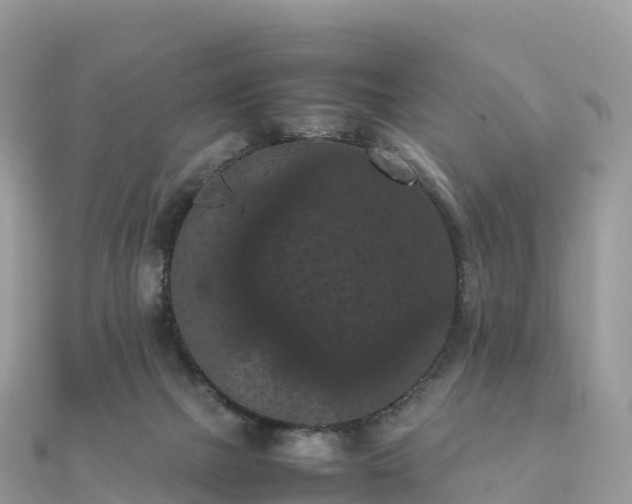 X0000111860073200907301140