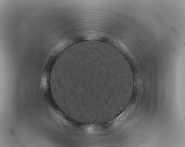 X0000111860074200907301140