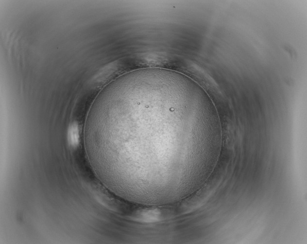 X0000111860075200907301140