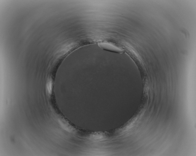 X0000111860076200907301140