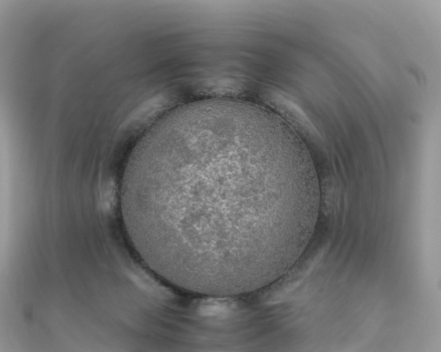 X0000111860077200907301140