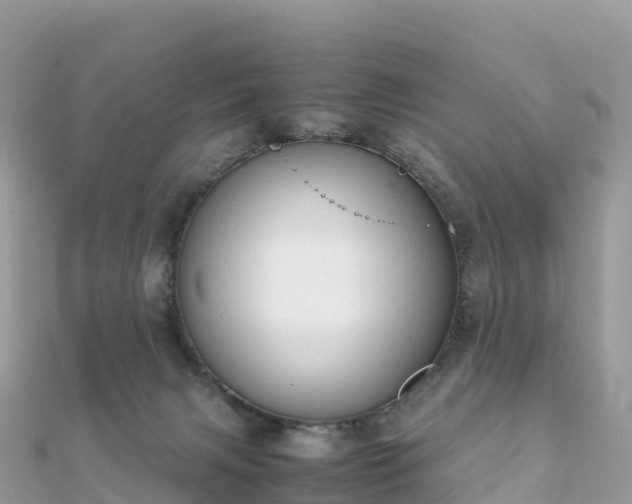 X0000111860079200907301140