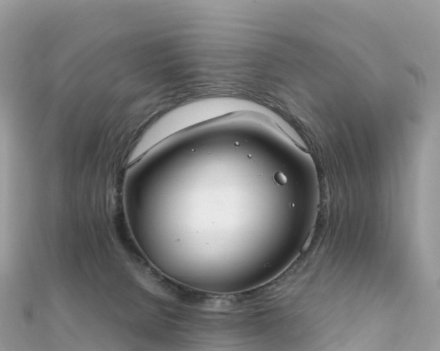 X0000111860080200907301140