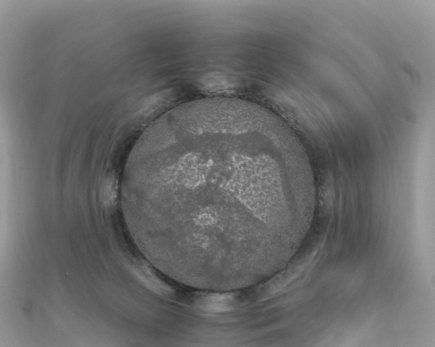 X0000111860081200907301140