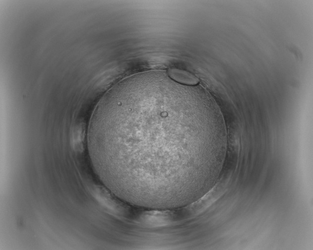 X0000111860082200907301140