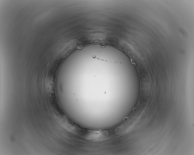 X0000111860083200907301140