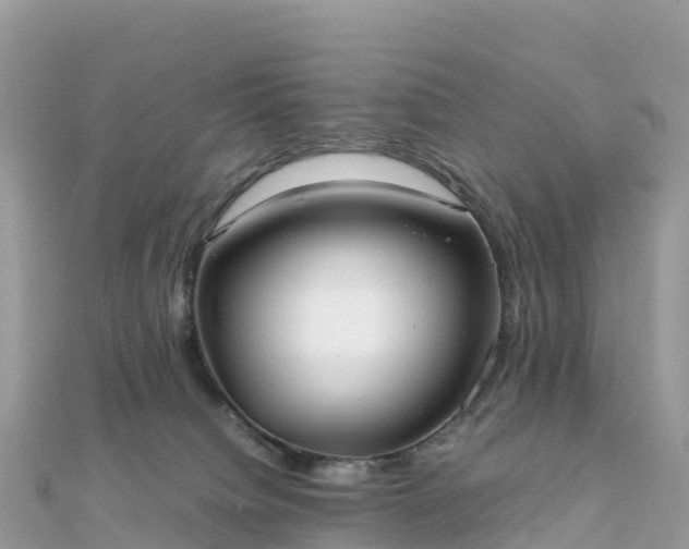 X0000111860084200907301140