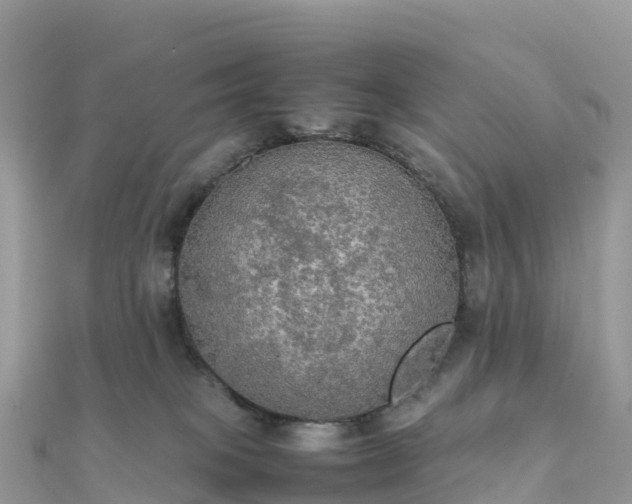 X0000111860085200907301140