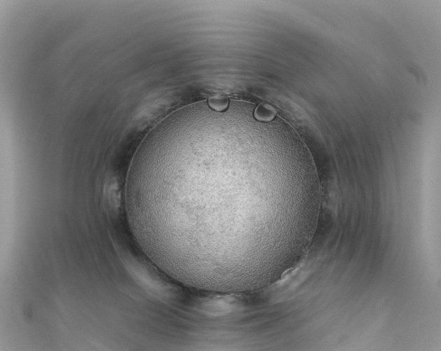 X0000111860086200907301140