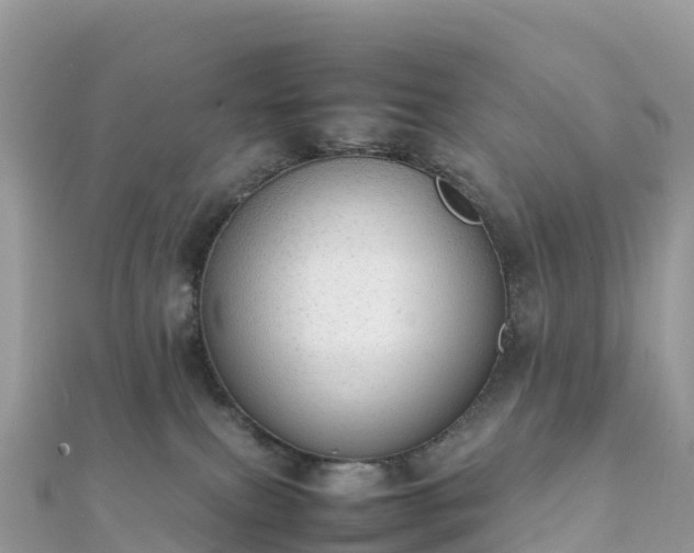 X0000111860087200907301140