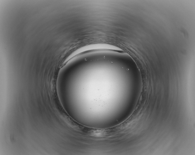 X0000111860088200907301140