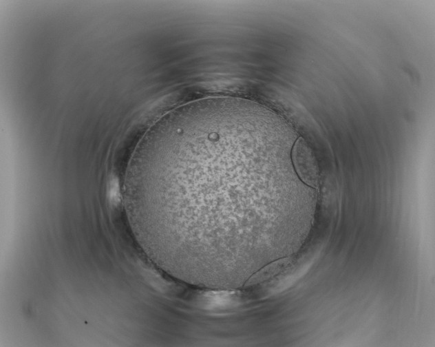 X0000111860089200907301140