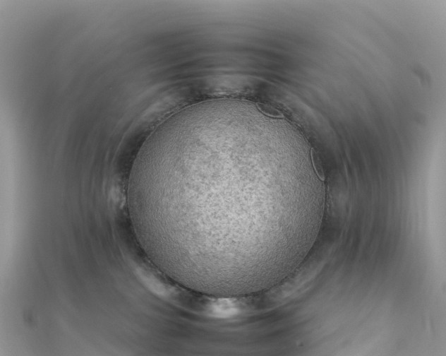 X0000111860091200907301140