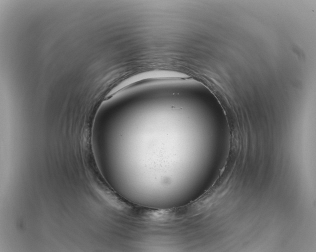 X0000111860092200907301141