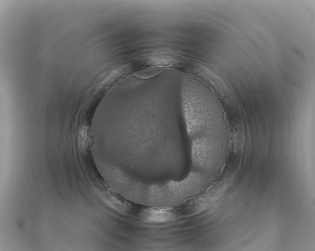 X0000111860093200907301141