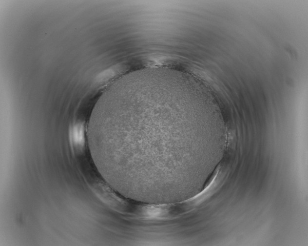 X0000111860094200907301141