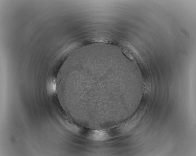 X0000111860095200907301141