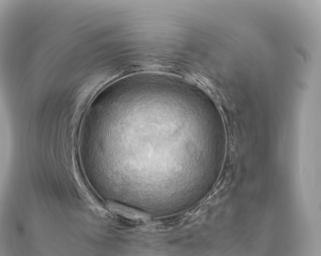 X0000111860097200907301140