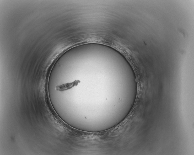 X0000111860098200907301140