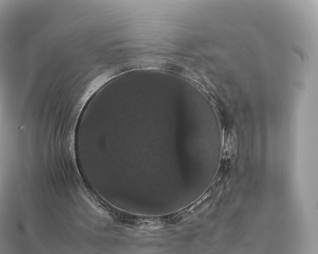 X0000111860099200907301140