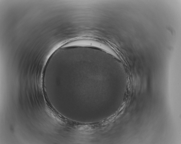 X0000111860100200907301140