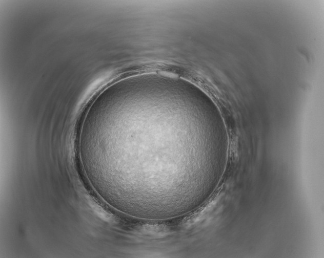 X0000111860101200907301140