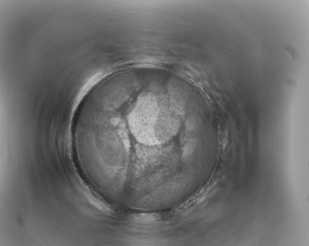 X0000111860102200907301140