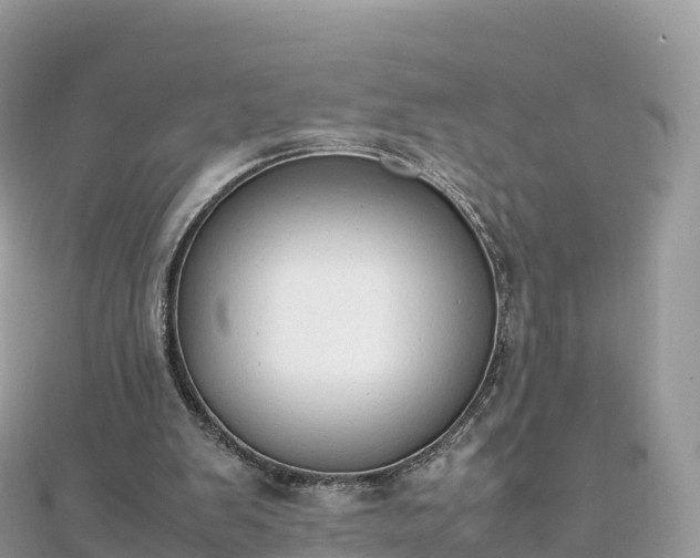 X0000111860103200907301140