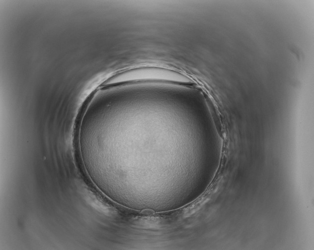 X0000111860104200907301140