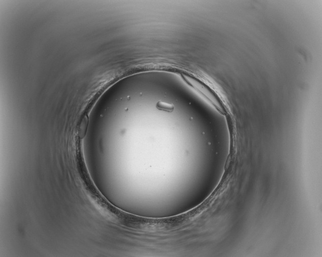 X0000111860105200907301140