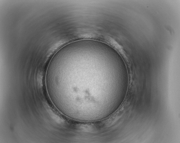 X0000111860106200907301140