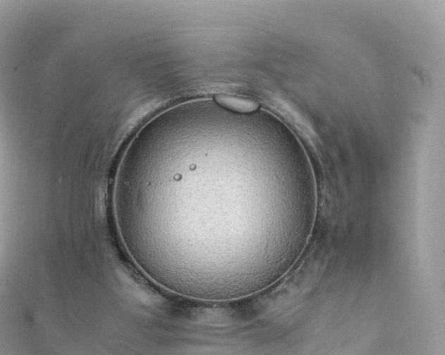 X0000111860107200907301140