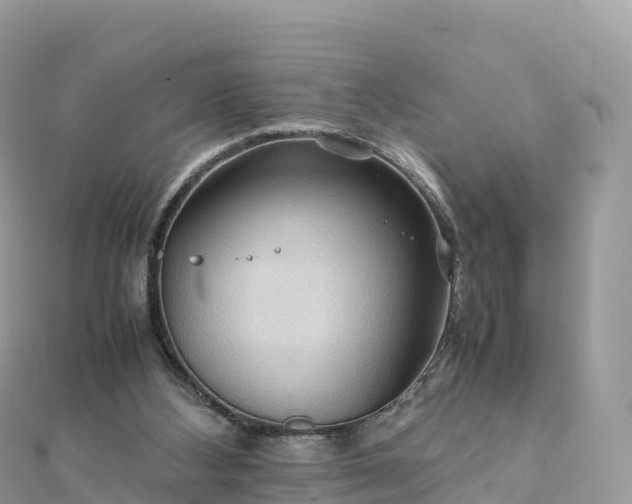 X0000111860108200907301140