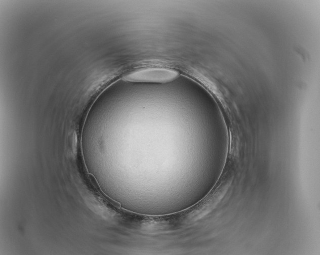 X0000111860109200907301140