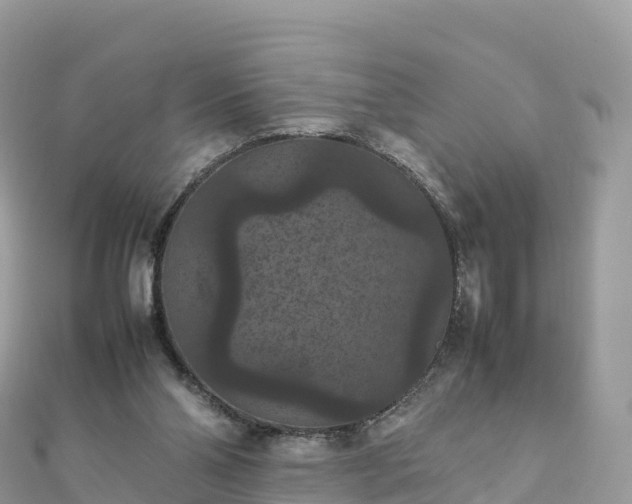 X0000111860110200907301140