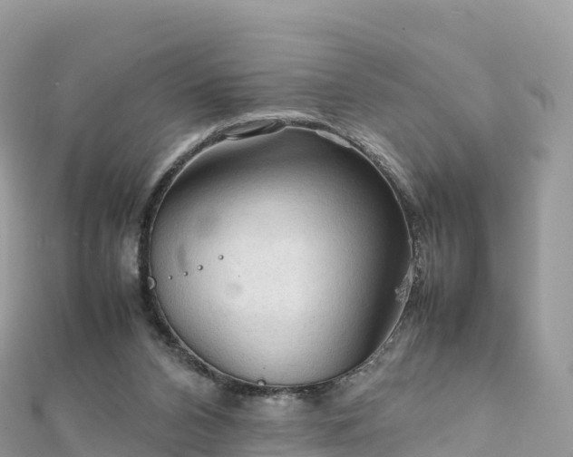 X0000111860112200907301140