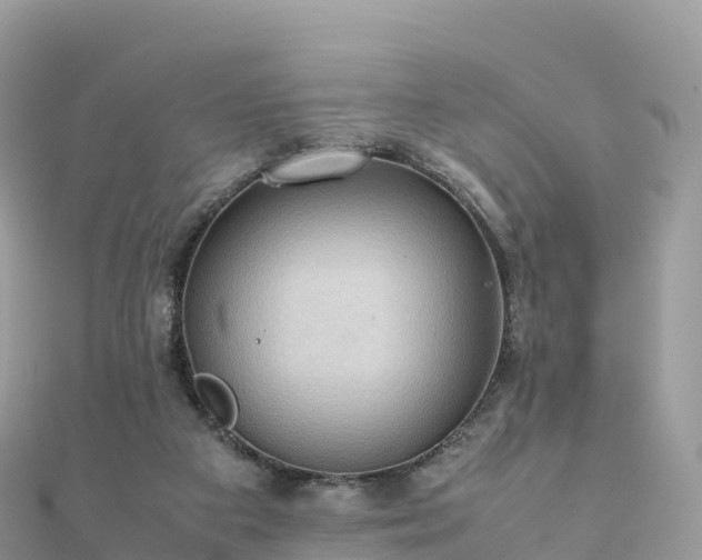 X0000111860113200907301140