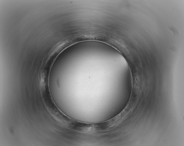 X0000111860116200907301140