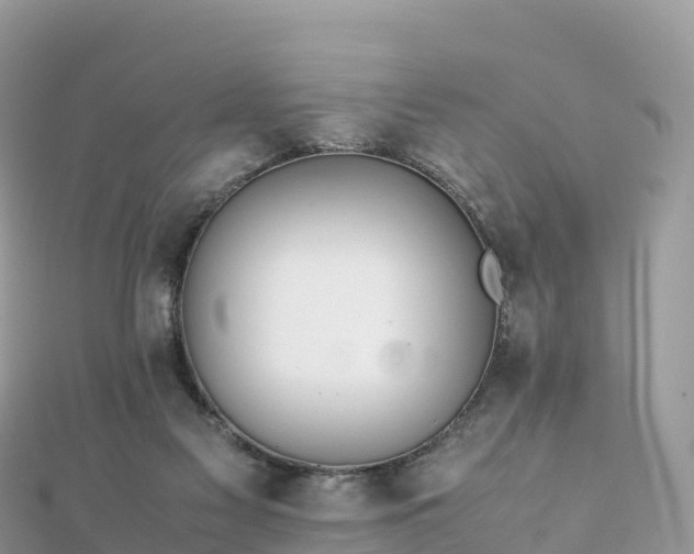 X0000111860117200907301140