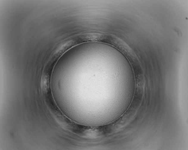 X0000111860119200907301140