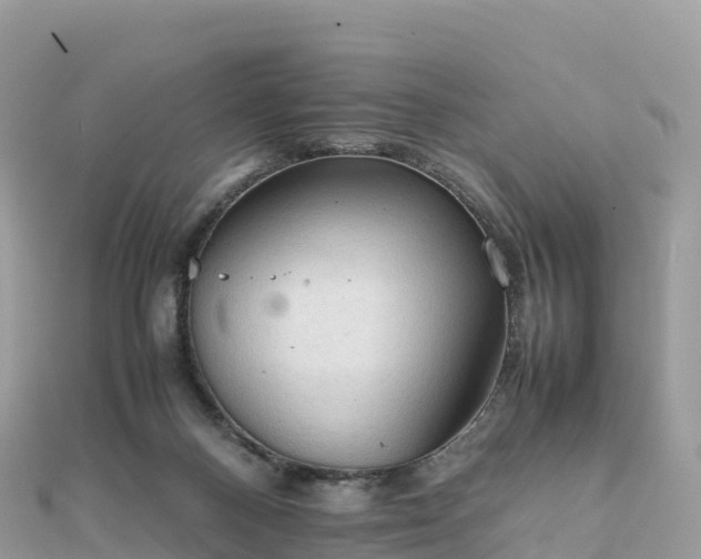 X0000111860120200907301140