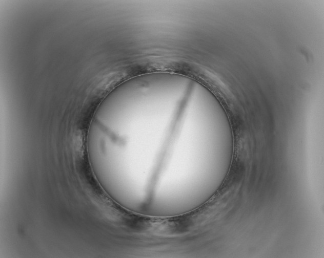 X0000111860121200907301140