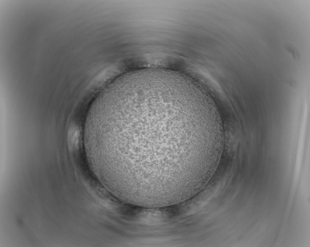 X0000111860123200907301140