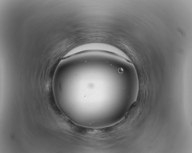 X0000111860125200907301140