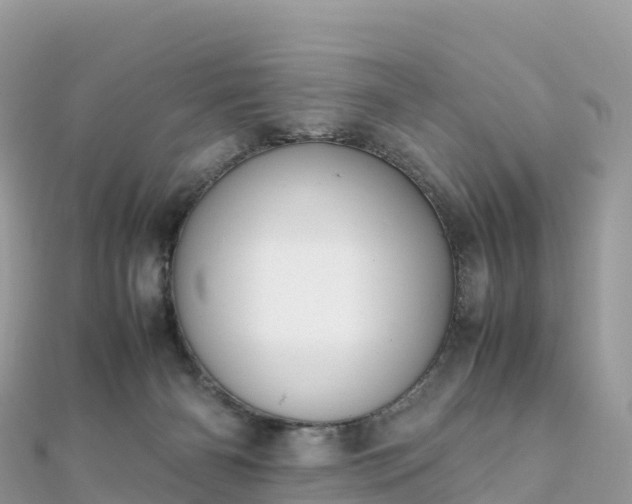 X0000111860126200907301140