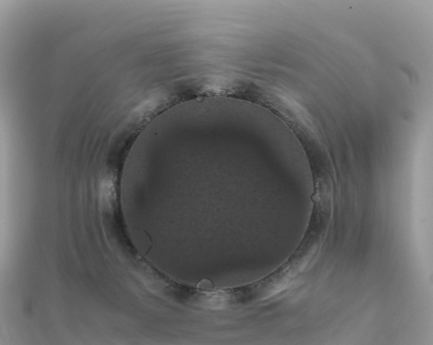 X0000111860127200907301140